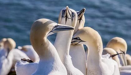 黑料盘点：内幕3大误区，圈内人上榜理由瞬间令人真相大白