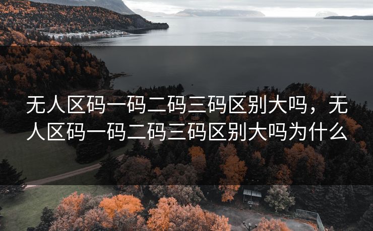 无人区码一码二码三码区别大吗，无人区码一码二码三码区别大吗为什么